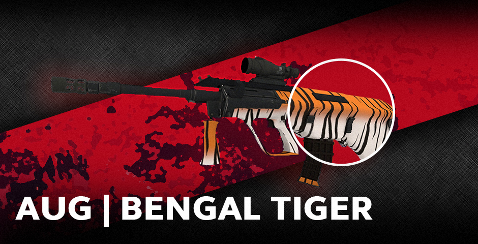 AUG | Tigre de Bengala