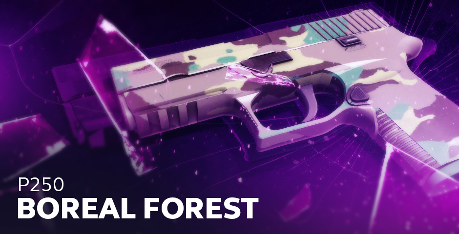 P250 | Bosque boreal